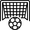 傅元情